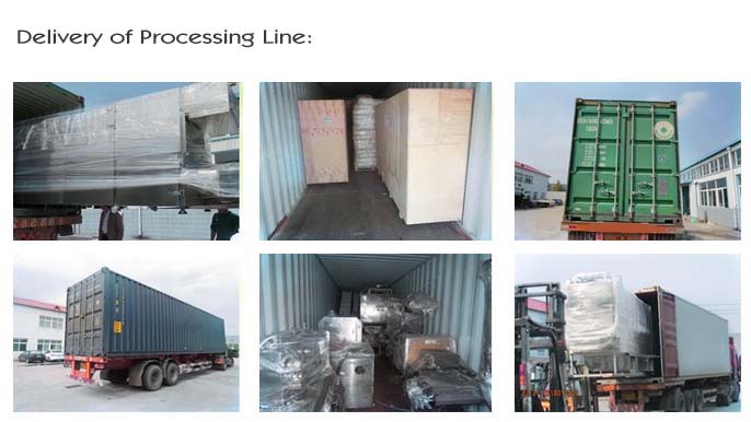 delivery of food extruder processing line 6648
